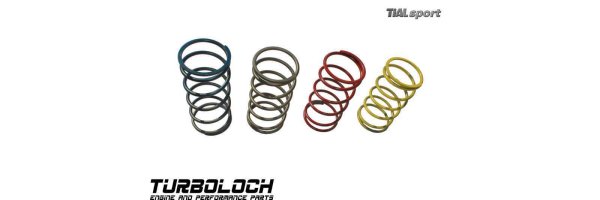 TiAL - Wastegatefedern