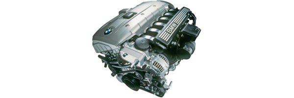 BMW - N52 (6-Zyl. 24V) 2.5-3.0L